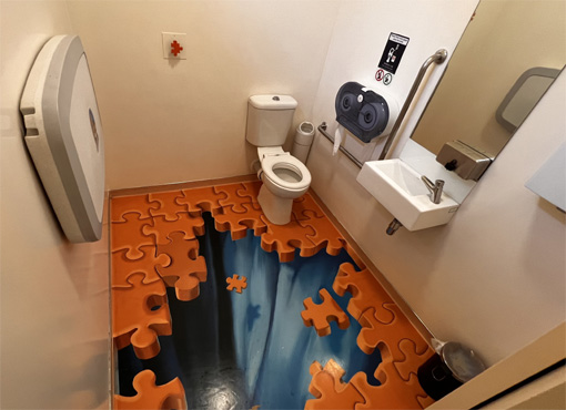 Puzzling Toilet.